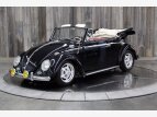Thumbnail Photo 0 for 1964 Volkswagen Beetle